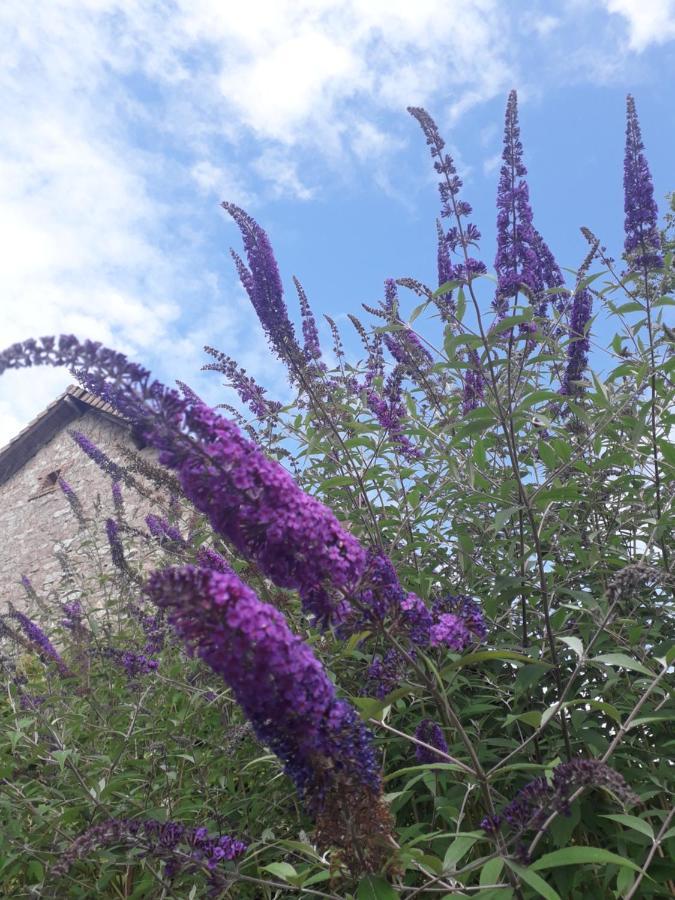 B&B Buddleja Saint-Hilaire-les-Places Exterior foto